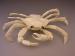 JAPANESE EARLY 20TH CENTURY CARVED IVORY ARTICULATED CRAB